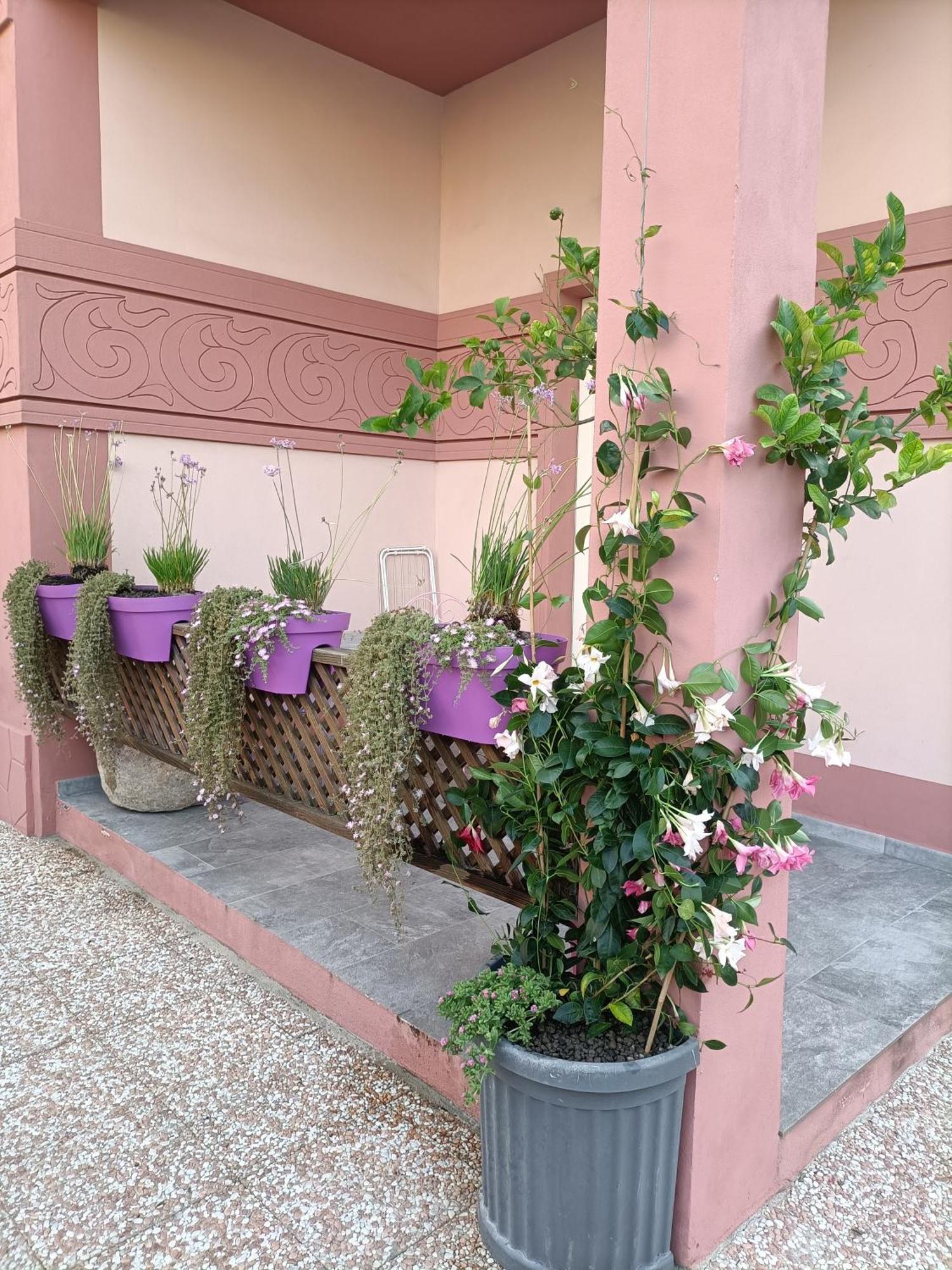 Maison Belle Epoque & Suites Oristano Værelse billede